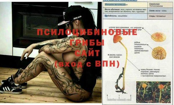 СК Верхний Тагил