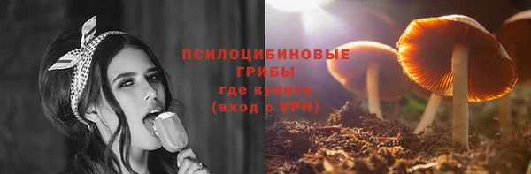 герыч Бронницы