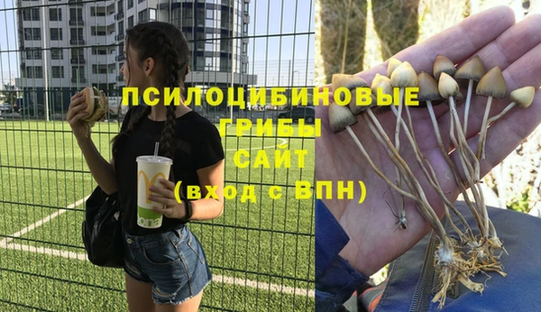 СК Верхний Тагил